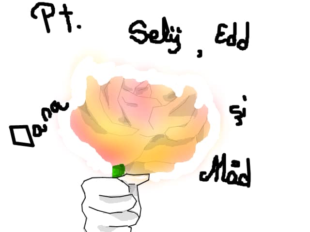 edd, oana, selii, mada