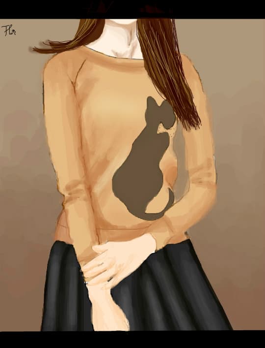Cat jumper