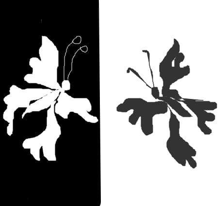 fluturi