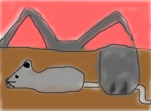 Pussy Cat