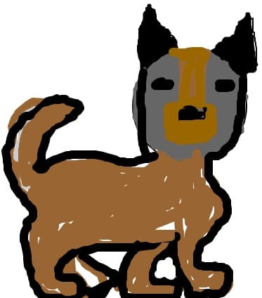 cutulica
