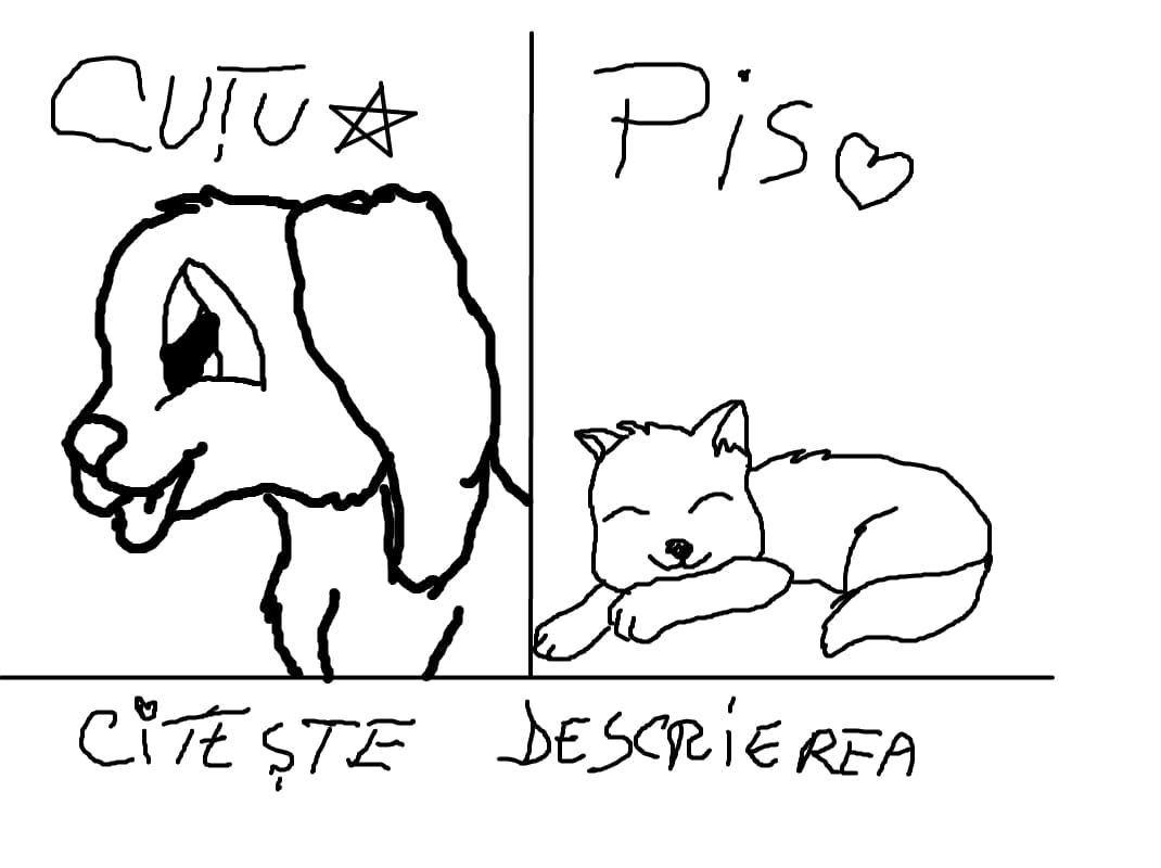 cutu sau pis