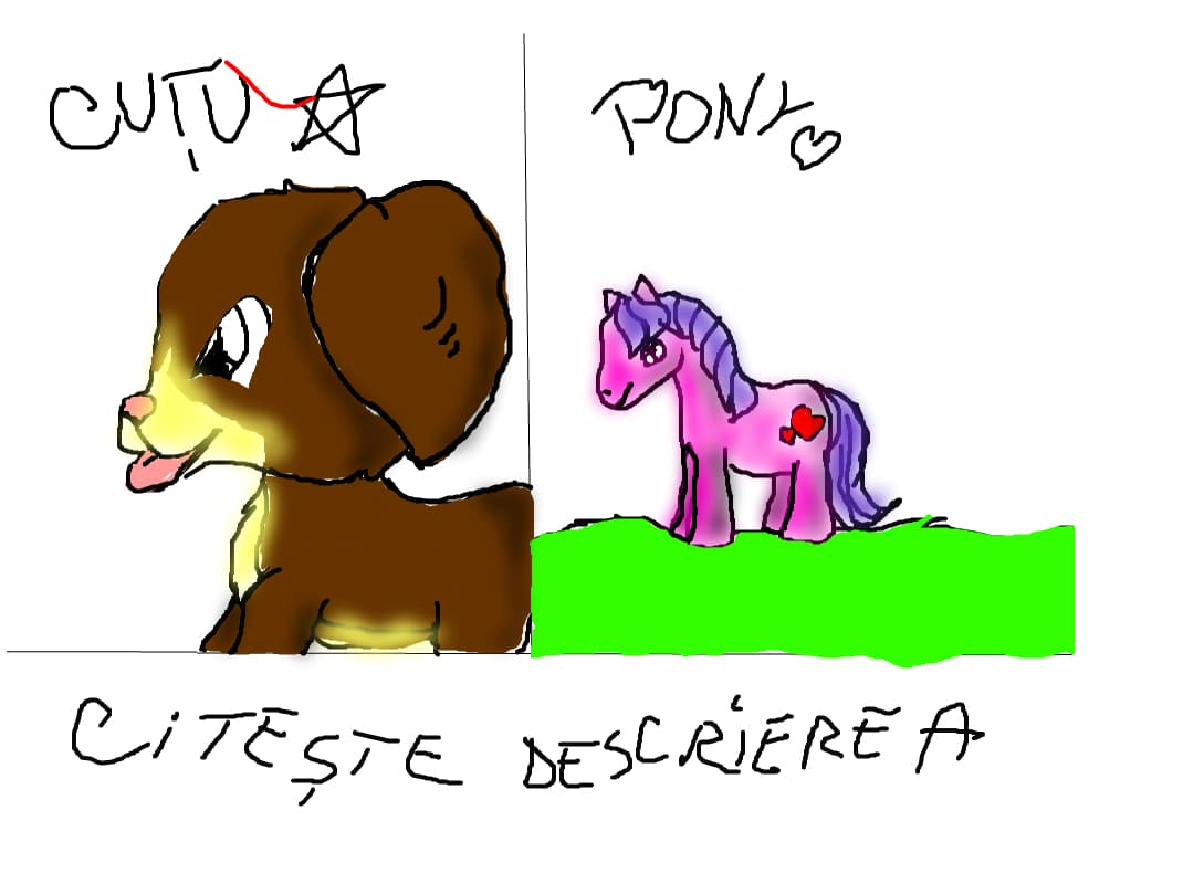 cutu sau pony