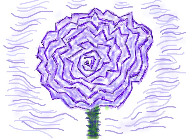 rose purple