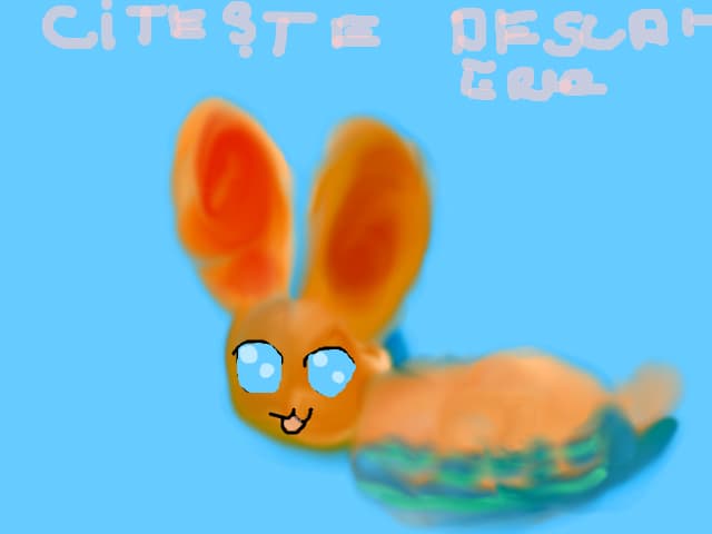 Iepurash de ciocolata :3