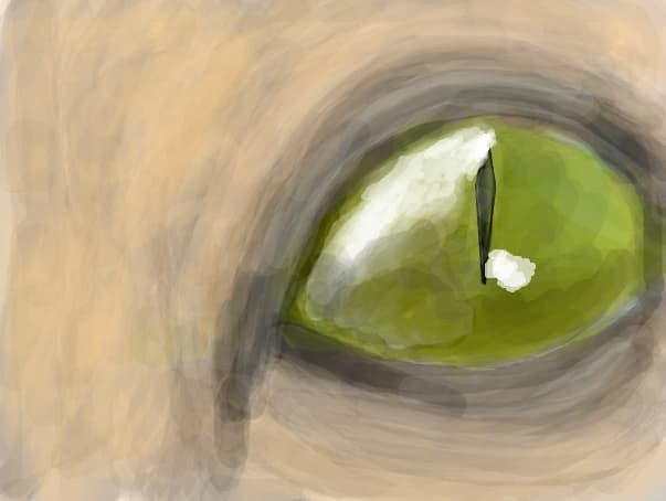 Ochi de pisica