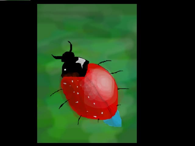 BuBu:3