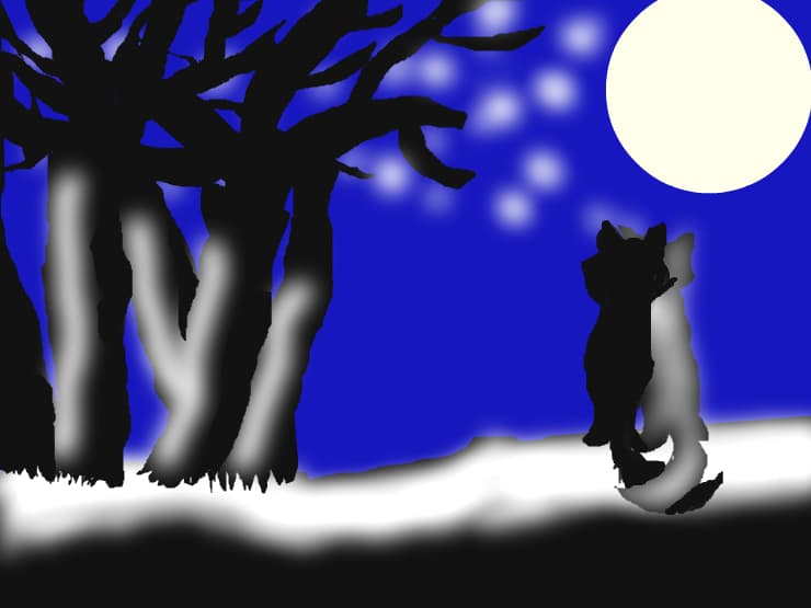 pisici sub luna