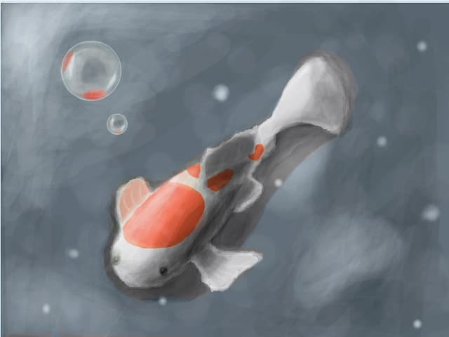 apofiss
