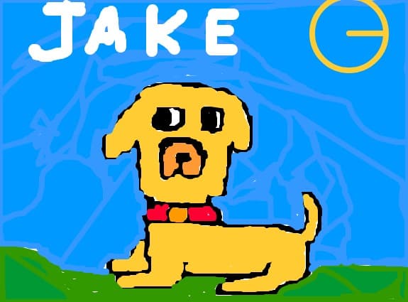 Jake