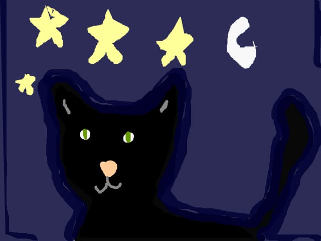 Pisica neagra