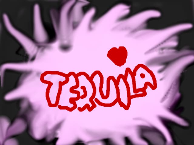 Fan Tequila