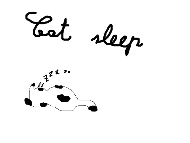 Cat sleep