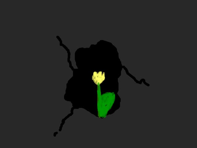 The flower