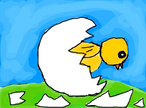 Puiul