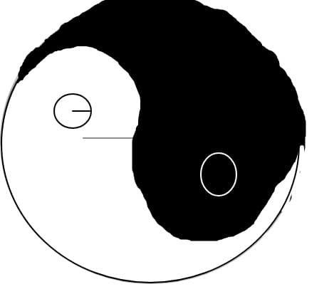 ying yang