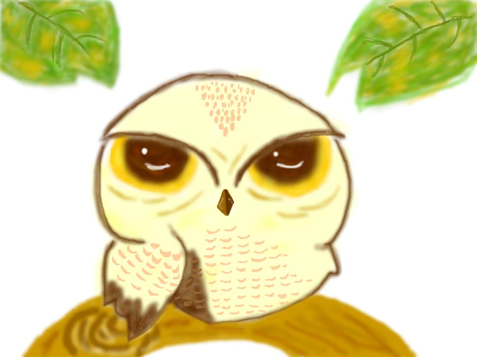 bufnita
