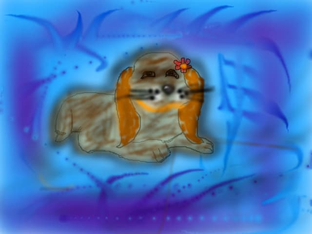 catelus