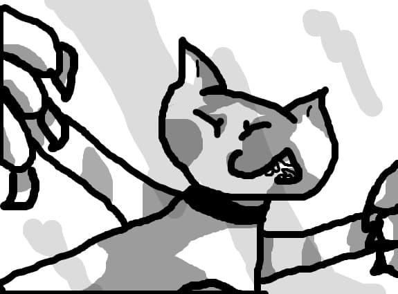 Pices catre camera: ,,Abea acuma filmeaza!".
