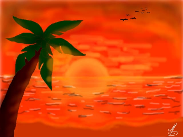 sunset