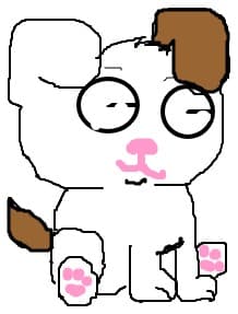Cutu
