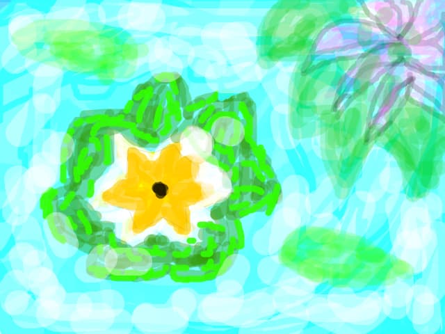 Hawai