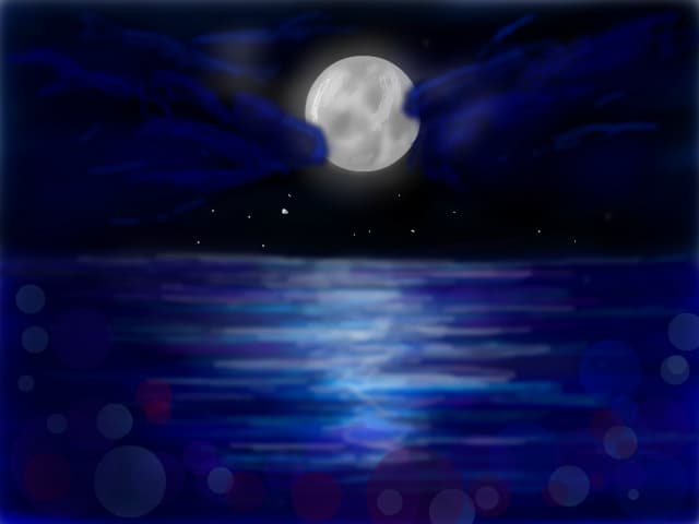 Night