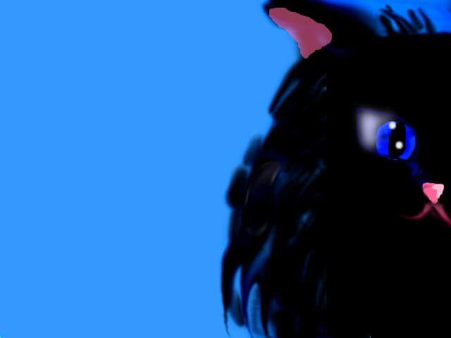 Meoww :3