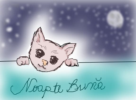 kitty
