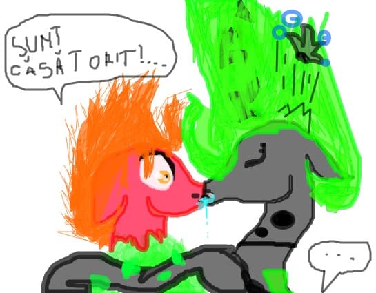 ,,Sunt casatorit!"