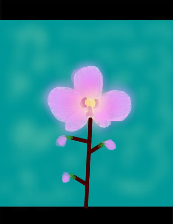 tricudiana