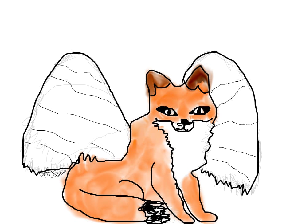 Vulpe