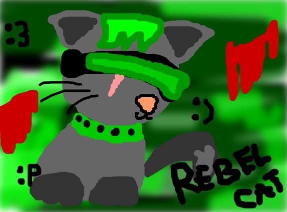 Pisica Rebela :)))