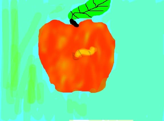 VIERMISORUL