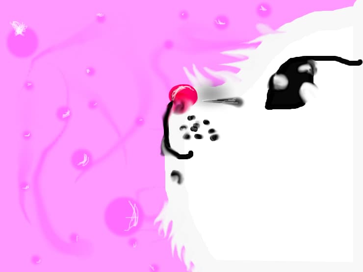 The misterios cat