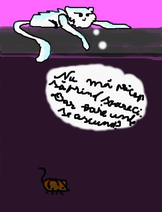 ,,Unde se ascund?"