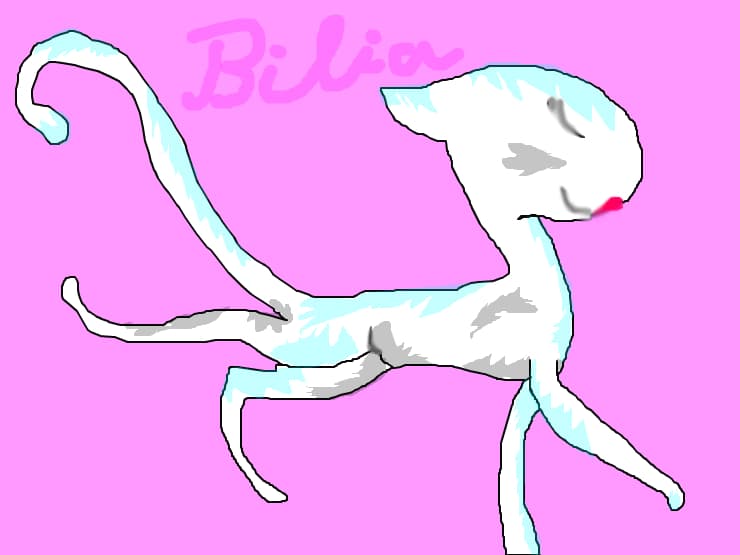 Bilia, the cat.