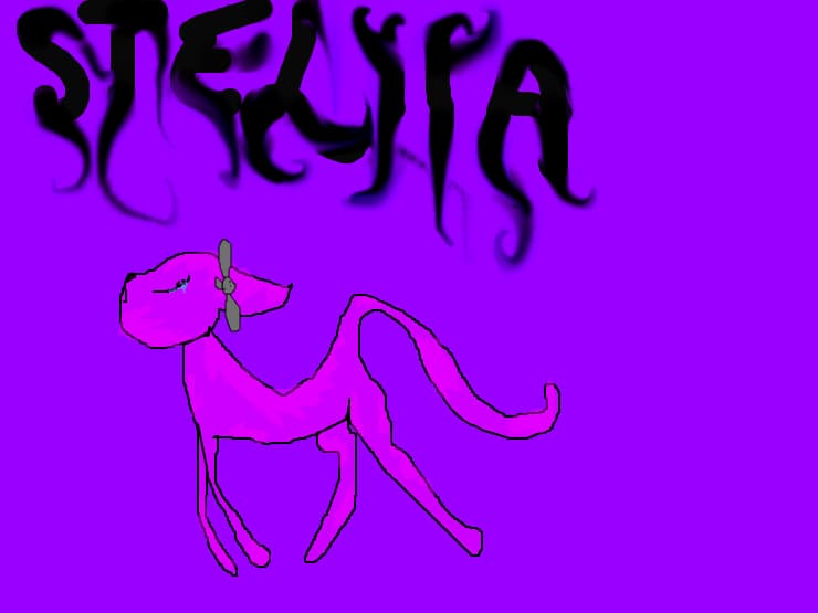 Steliia, the mortal cat.
