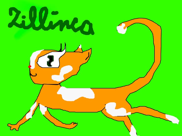 Zillinca, the naturiste cat.