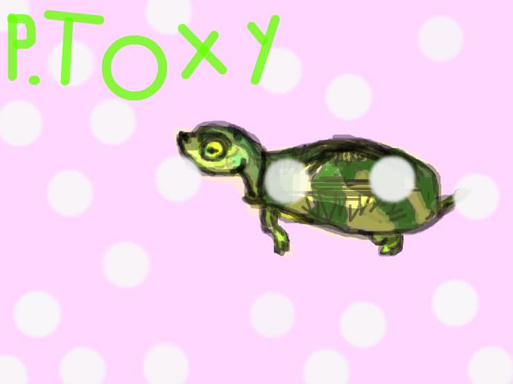 Princess Toxy