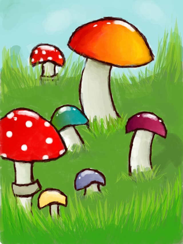 Mushroom