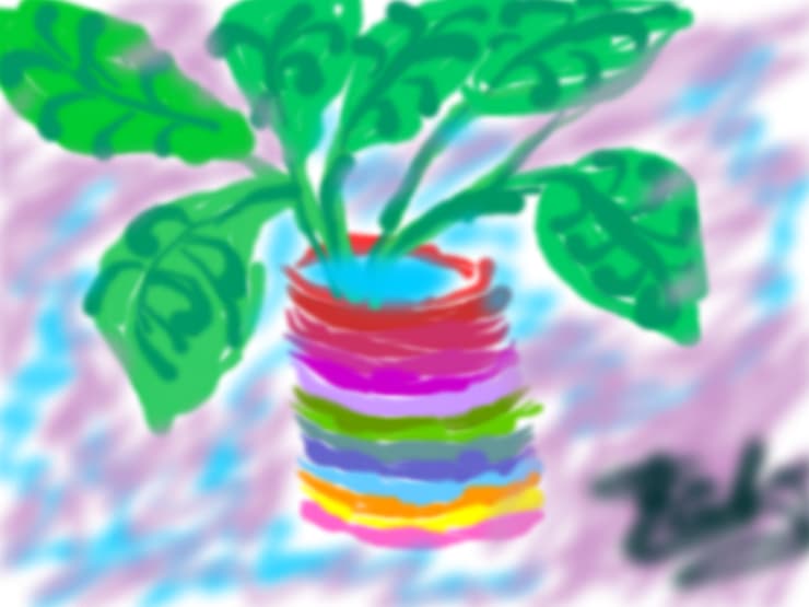 planta