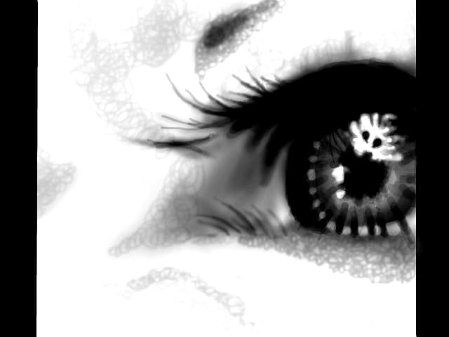 eye.