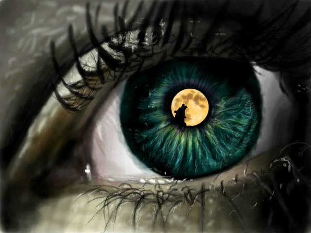 What do you see into my eyes..?