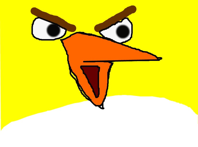 angry birds