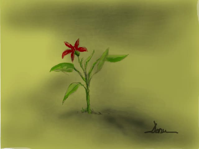 ...floare