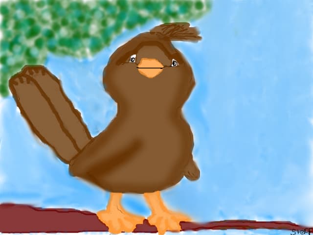 Bird