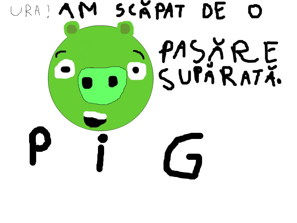 pig