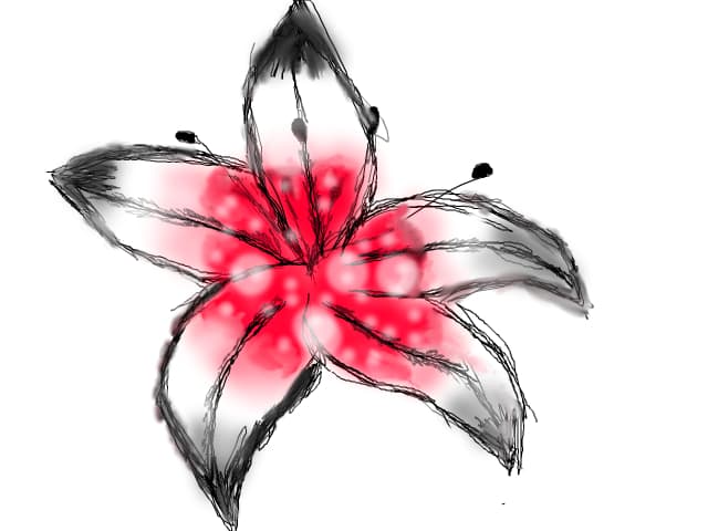 floricica