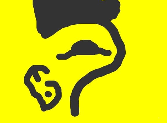 un vulture simplu